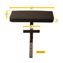 Body-Solid Biceps Bench Preacher Curl - GPCA1