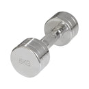 Outlet Bodytrading Chrome Dumbbells - CHDU (pickup only)