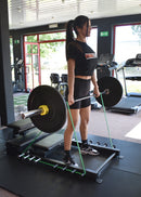 Bodytrading Hip Thruster/Floor Glute Ham Developer - HIPTR
