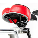 Sole Fitness Indoor Training Bike - SB900